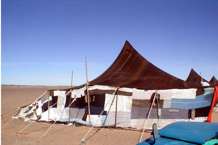 saharawi_TEX_02