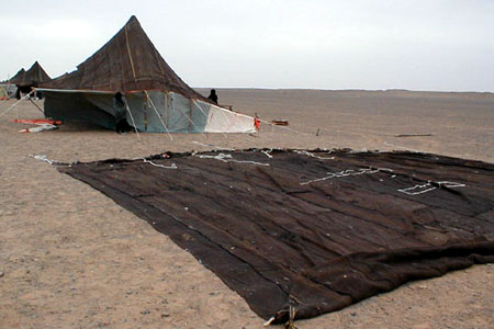 saharawi_TEX_06